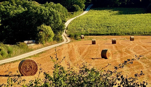 La Muse Rossignol: Swimming pool, spacious rooms & private bath in Occitanie