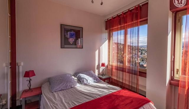 LA NETTE ROUSSE - AIX LES BAINS