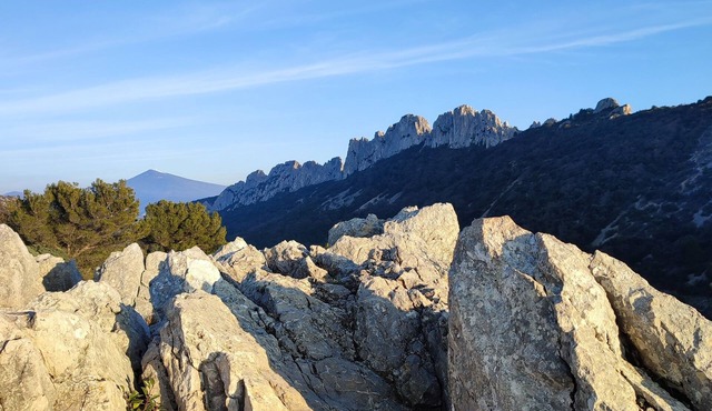 La Pépite des Dentelles