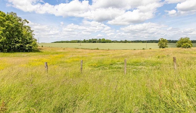 La P'tiote Roulotte - MOUTHIER EN BRESSE
