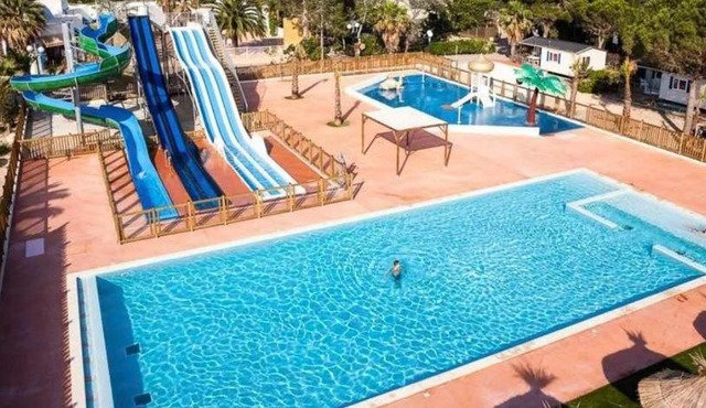 La palmeraie à torreilles