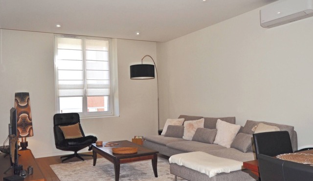 "La Pause du Savoir Albigeois", spacious house, 1 km cathedral