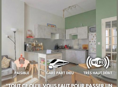 La Pause Lyonnaise - T2 proche gare