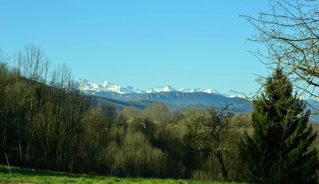 LA Pensee Sauvage, Spacieux Gite Avec Piscine Ressourcement Auprès des Plantes