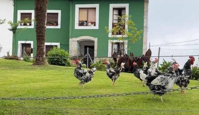 La Pereda Rural House