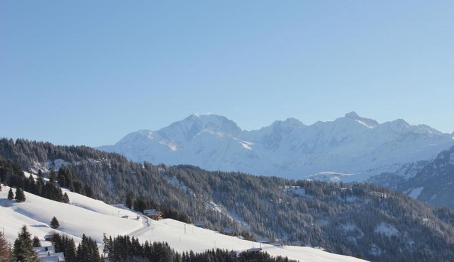 La Perle Des Alpes C2