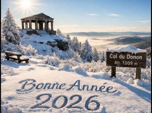 La Perle du Donon - Col du Donon - Grandfontaine