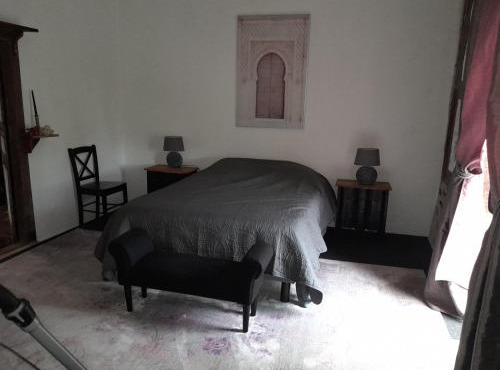 La petite Salamandre bleue