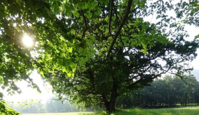 La petite Maison Marie-Louise