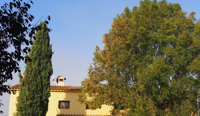 La Petita del Mas Salom. Ideal agritourism for families! Caldes de Malavella