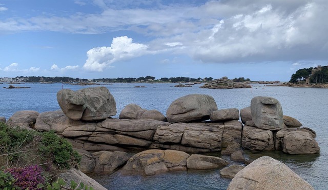 La Petite Bretonne et son Granit Rose. Animaux de Compagnie Acceptés !