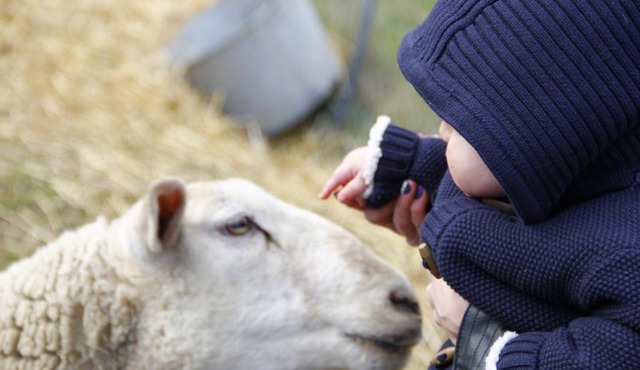 La Petite Ferme des Vitoz