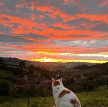 La petite maison dans la campagne