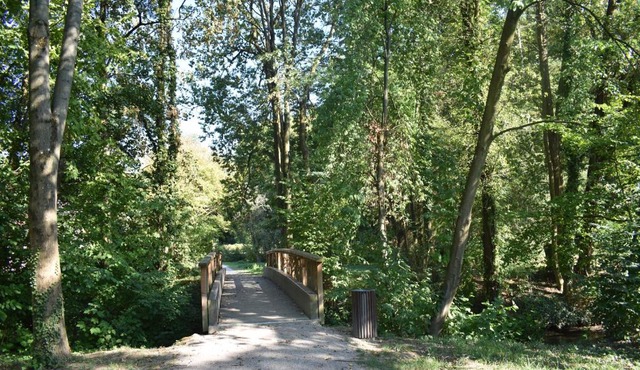 La petite maison de Vinylous