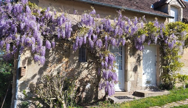 La Petite Maison du Moulin