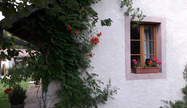 LA PETITE PARRIERE *