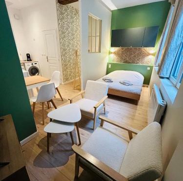 La Petite Rhonelle - Studio en hypercentre