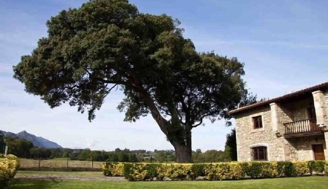 La Piniella Village House for 10 people