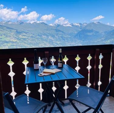 La Plagne Appartement au pied des pistes avec vue Mont Blanc