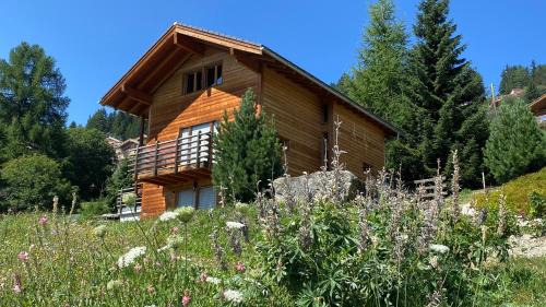 La Pourvoirie - 4 Vallées - Thyon-Les Collons, 10 pers, ski à 200 m, 4 parkings, vue fantastique !