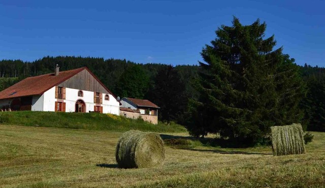 La Prairial: Beautiful Vosges farmhouse 400 m² with SPA, 10 min from Lake Gérardmer