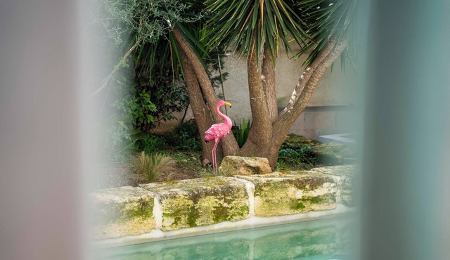 La Provence downtown, Swimming pool, Garden, Terrace