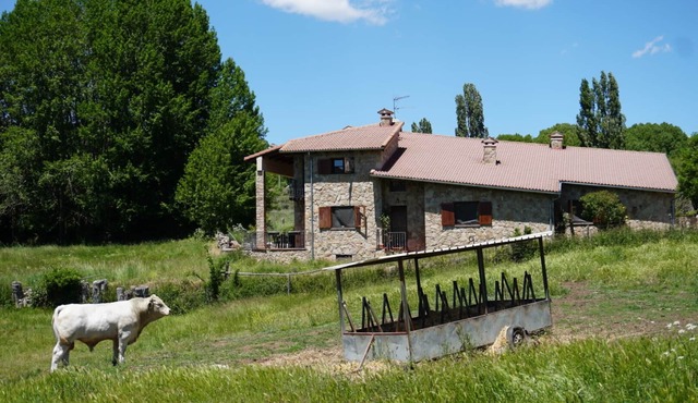 La Puerta de Gredos Rural House