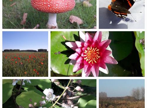 La Résidence des Fleurs