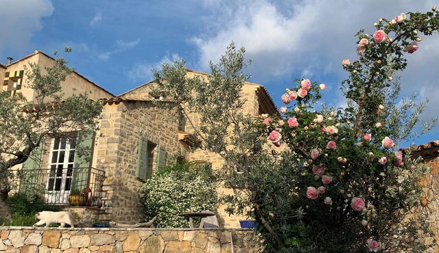 La Rainette en Provence, Chambre à L'écart Dans Propriété Parsemée D'oliviers