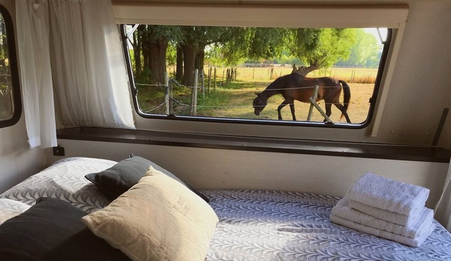 La "ravane" Logement Insolite, Isolé, Nature et Chevaux Avec Brasero