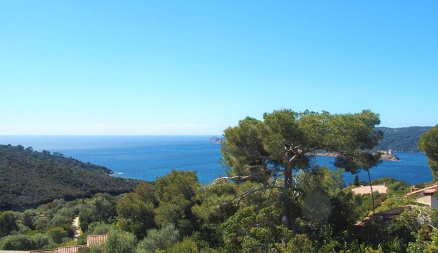 La roche aux mouettes Ile du Levant
