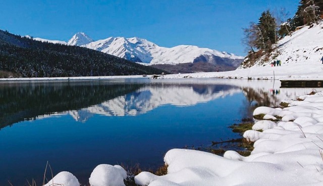 LA Roseraie à 2 mn à Pied des Thermes Spa Aquensis, Casino, au Pied des Pyrénées