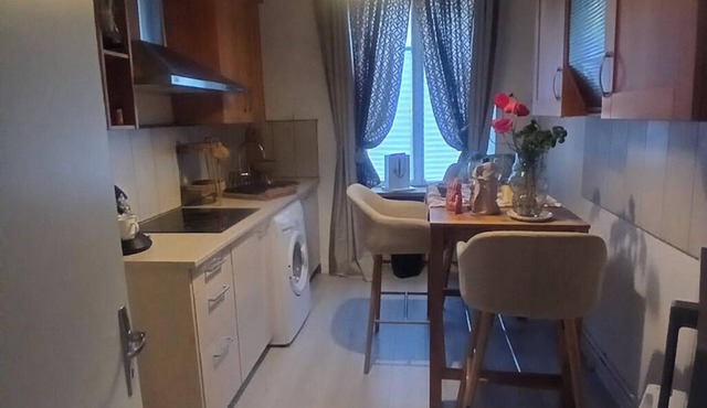 La Roseraie summer garden apartment, quiet and functional