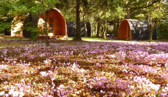 La Rossignolerie - POD Cabanes des châteaux