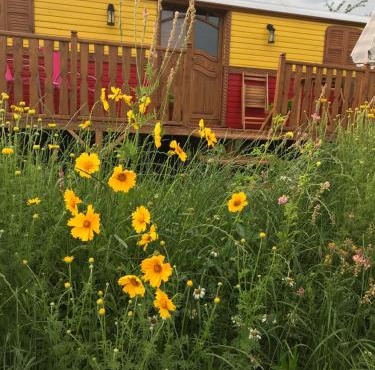 la roulotte de l'ami nature