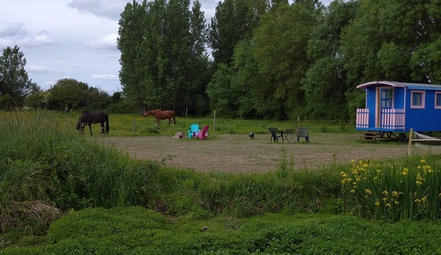 La roulotte du moulin de palet bleu ciel