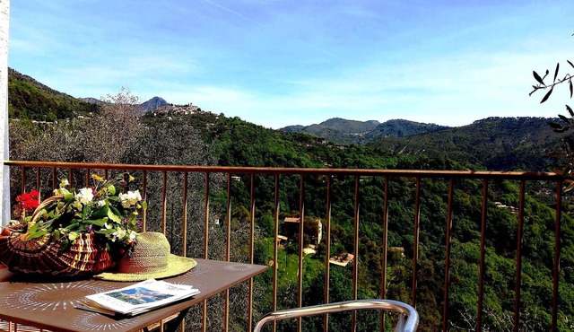 LA RUCHE ET L OLIVIER Charming cottage between sea and mountain