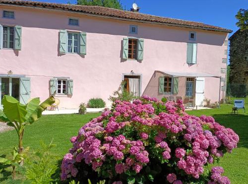 La salamandre de l'escat