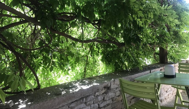 La Salicorne - BONNAY-SAINT-YTHAIRE