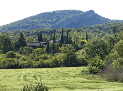 La Santoline