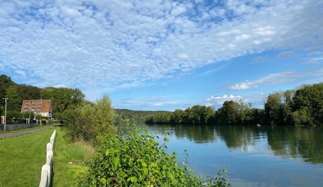 La Seine, entre rivière et forêt de Fontainebleau