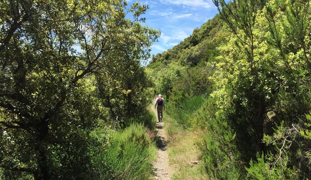 La Source - Mountain Getaway - Southern France