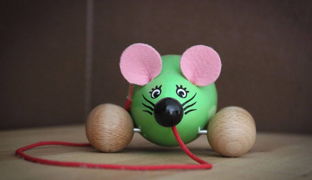 La Souris Verte family gite and its wooded grounds. Peace and quiet guaranteed!