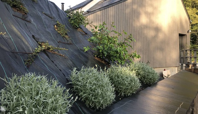 La Suite de Sophie Quiet, modern, spacious gîte.