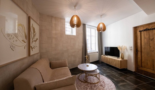 La Suite Sépia - Superbe appartement Vieux Lyon