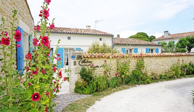 La Talamo : Furnished accommodation in Talmont-sur-Gironde.