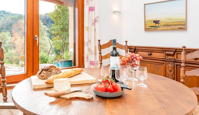 La Terraza - Spacious apartment in Masia