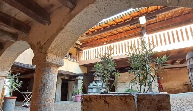 La Thibaude - Vigeronne house near Lyon