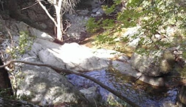 La Tinutella 4, la tinutella