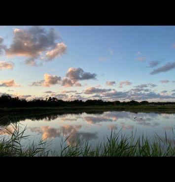 La Tonne du Médoc gîte insolite